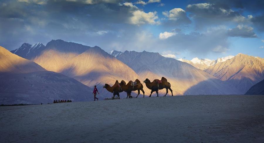 Chamba Camp Diskit Nubra Exterior foto