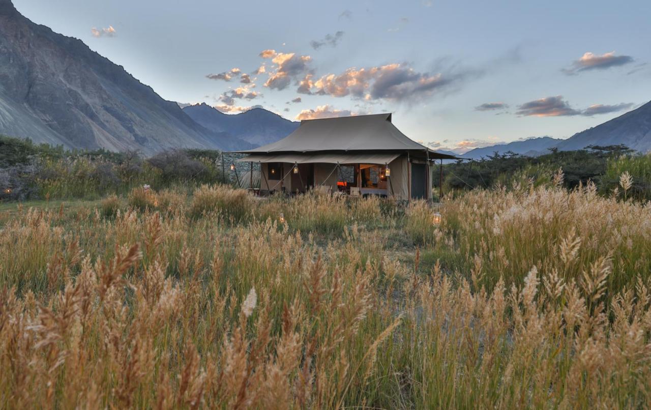 Chamba Camp Diskit Nubra Exterior foto